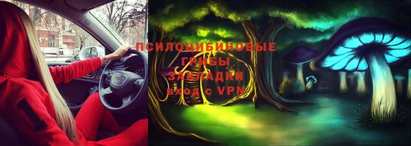 спайс Арсеньев