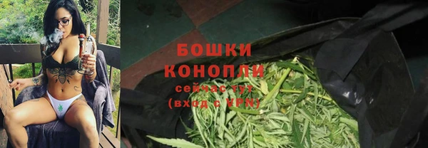 индика Аркадак