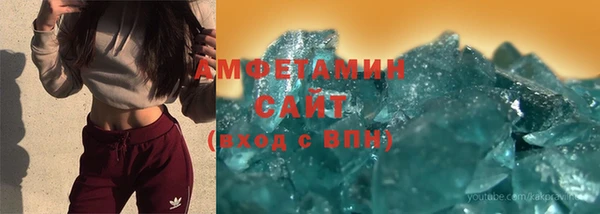 индика Аркадак