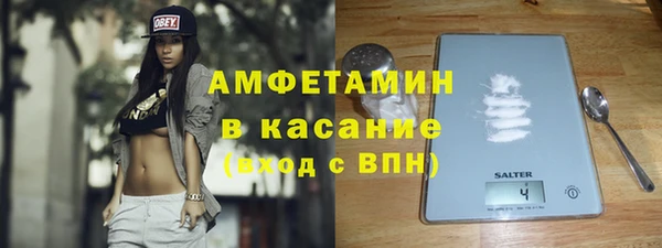 индика Аркадак