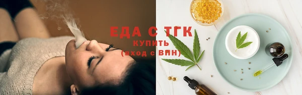 индика Аркадак