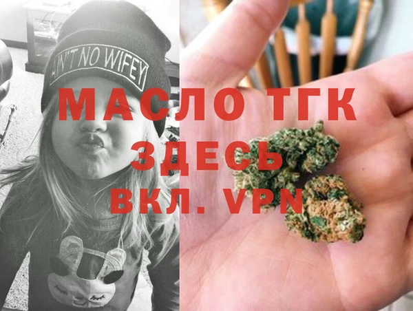 индика Аркадак
