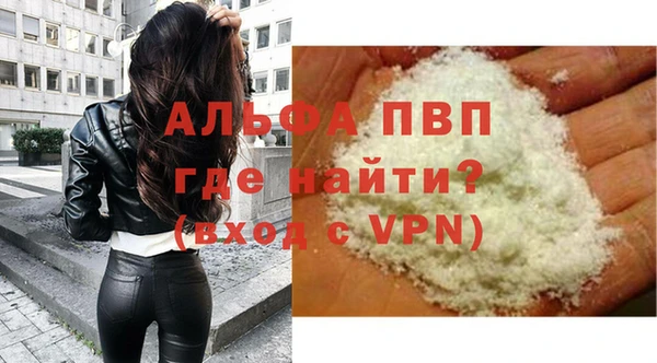 индика Аркадак