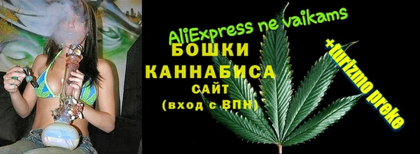 индика Аркадак