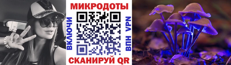Псилоцибиновые грибы мицелий  Иланский 